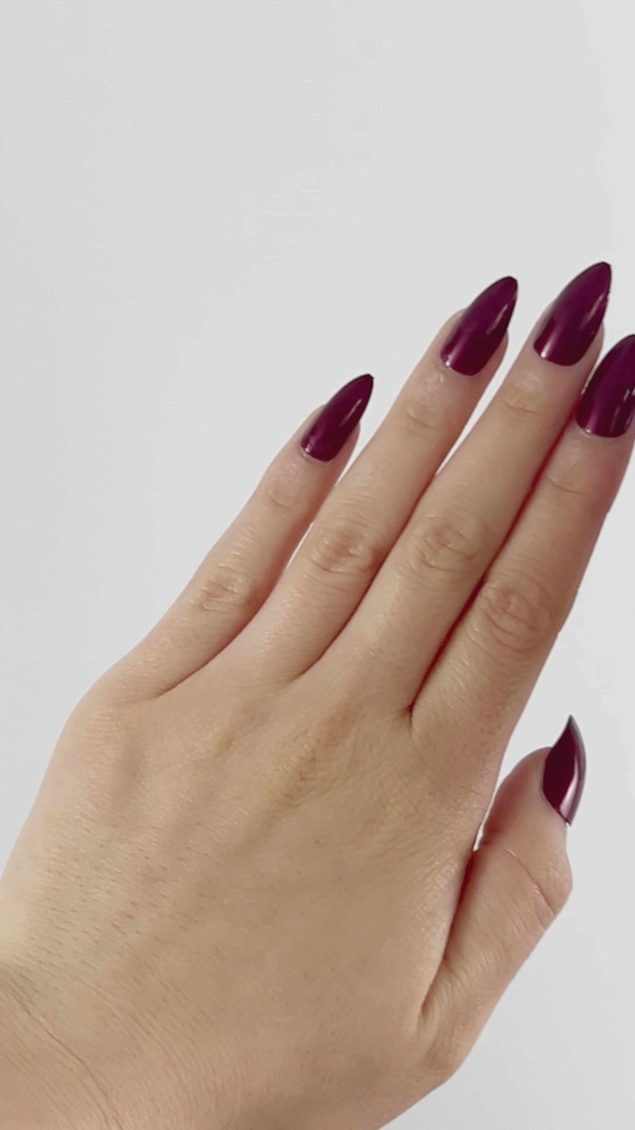 ANILLO RAVEL