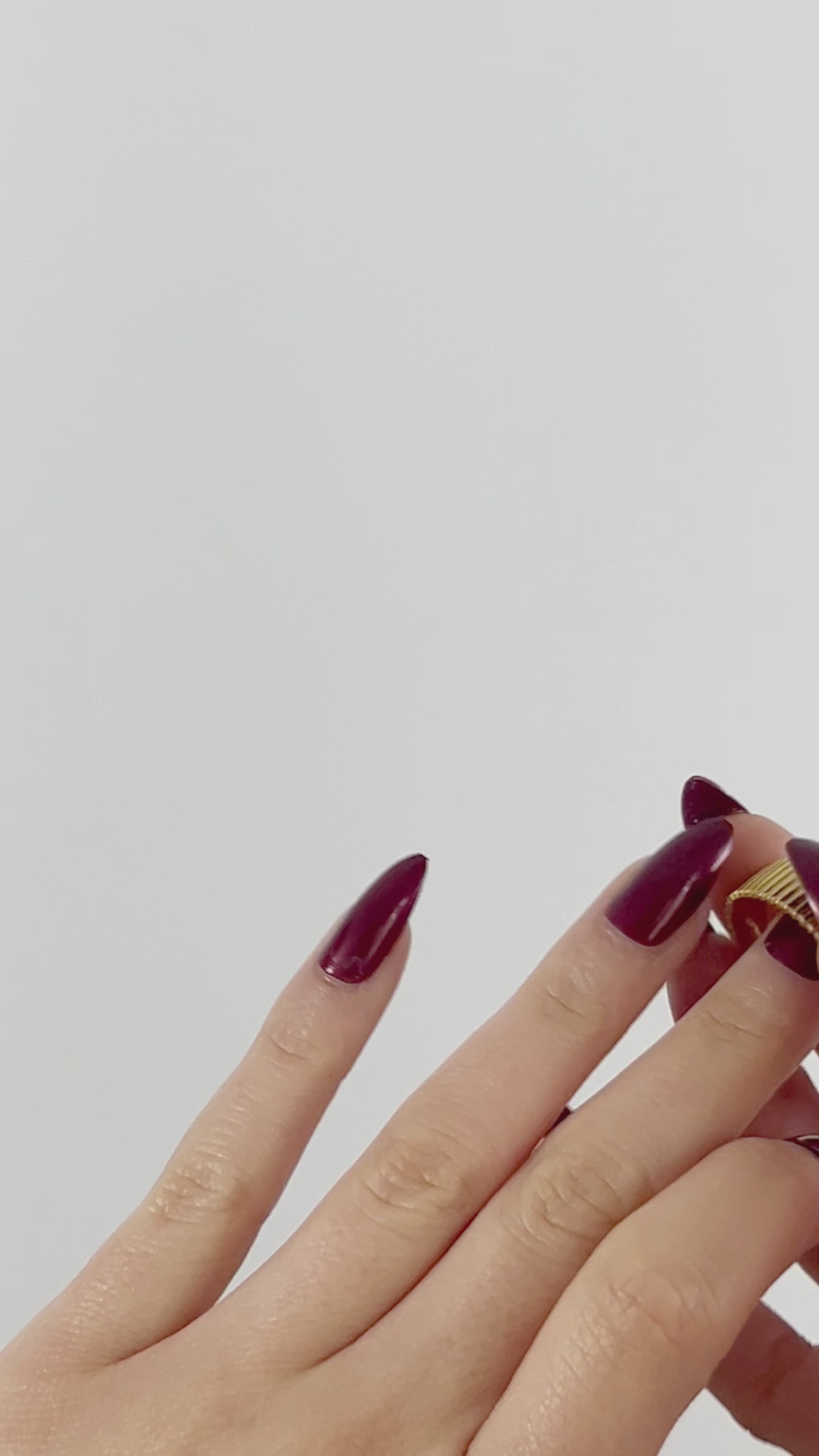 ANILLO RICO